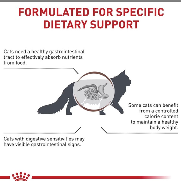 NEW Royal Canin Rx Gastrointestinal Cat Food 6 Pack - Picture 5 of 11